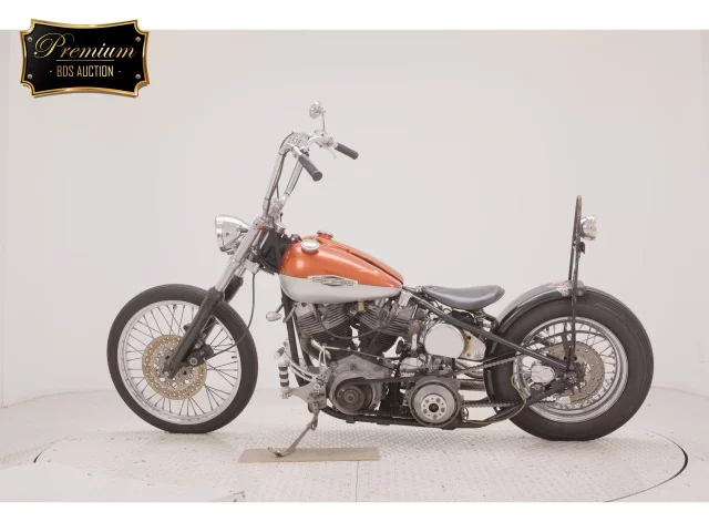 Other KIT BIKE 1200  с аукциона в Японии
