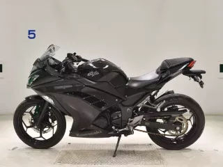 Kawasaki NINJA250