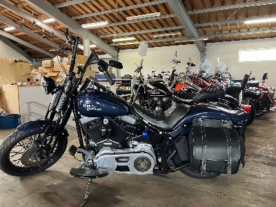 Harley-Davidson HARLEY FLSTSB
