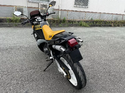 Yamaha TDR250