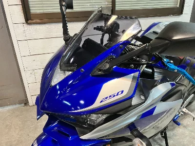 Yamaha YZF-R25