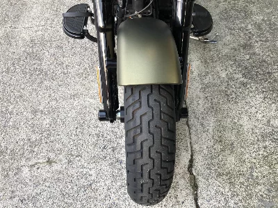 Harley-Davidson HARLEY FLSS