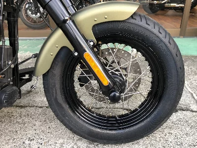 Harley-Davidson HARLEY FLSS