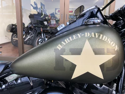 Harley-Davidson HARLEY FLSS