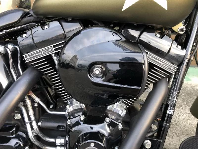 Harley-Davidson HARLEY FLSS