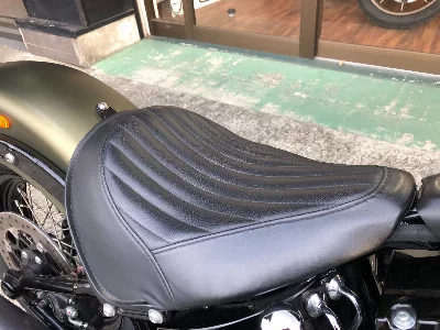 Harley-Davidson HARLEY FLSS