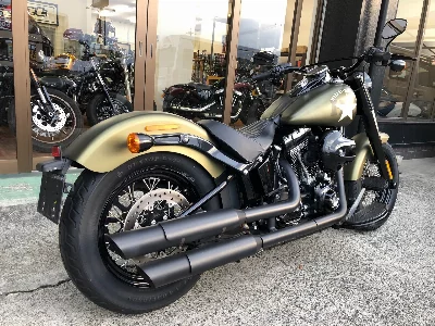 Harley-Davidson HARLEY FLSS