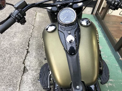 Harley-Davidson HARLEY FLSS
