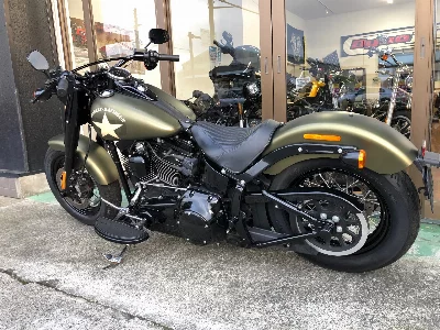 Harley-Davidson HARLEY FLSS