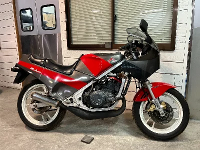 Suzuki RG250