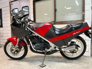 Suzuki RG250