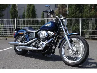 Harley-Davidson HARLEY FXDL 100TH