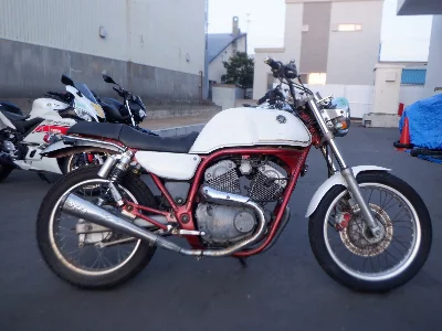 Yamaha SRV250