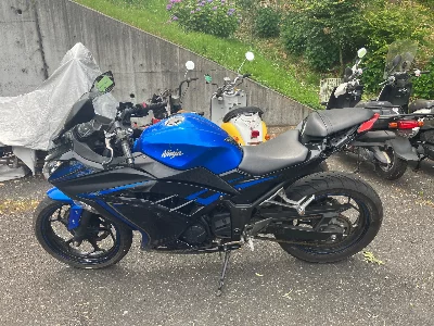 Kawasaki Ninja 250