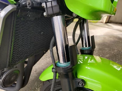 Kawasaki ZRX1200R