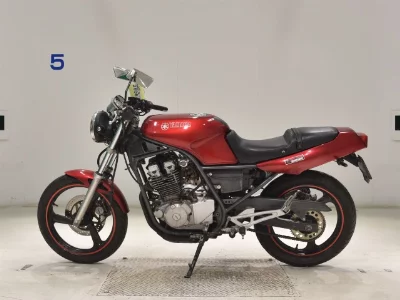 Yamaha SRX250-2
