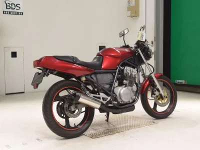 Yamaha SRX250-2