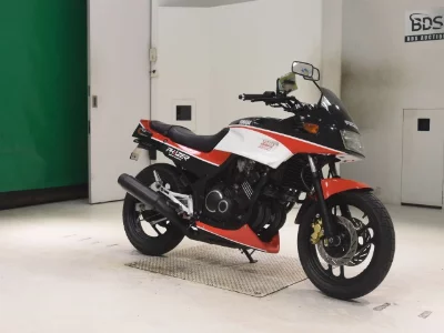 Yamaha FZ250
