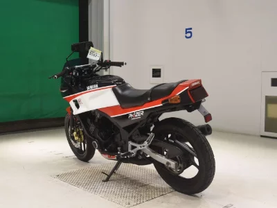Yamaha FZ250