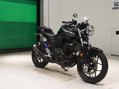 Yamaha MT-25