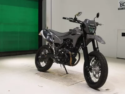 Kawasaki KLX230SM
