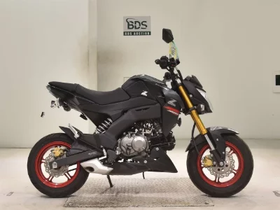 Kawasaki Z125PRO