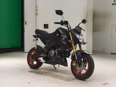 Kawasaki Z125PRO