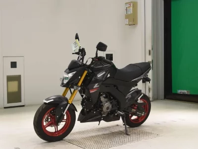 Kawasaki Z125PRO
