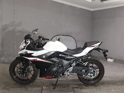 Suzuki GSX250R