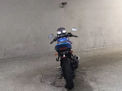 Suzuki GOOSE250