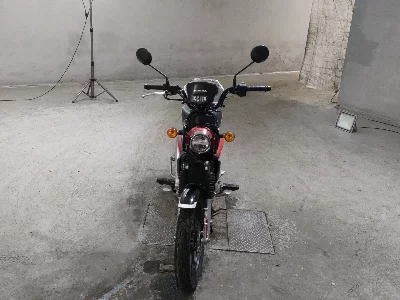 Honda CROSS CUB110