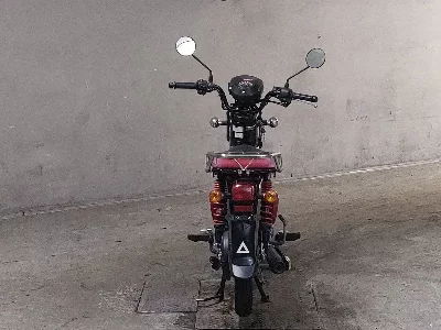 Honda CROSS CUB110