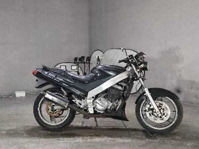 Kawasaki ZZR250