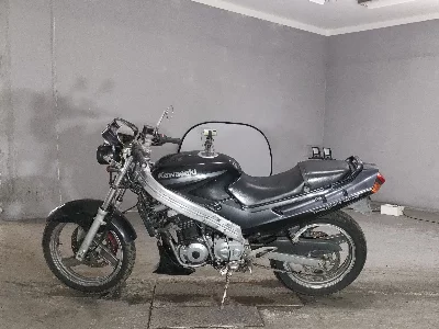Kawasaki ZZR250
