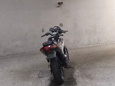 Kawasaki ZZR250