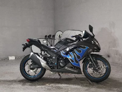 Kawasaki NINJA250