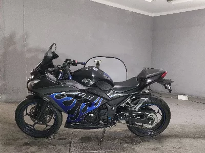 Kawasaki NINJA250