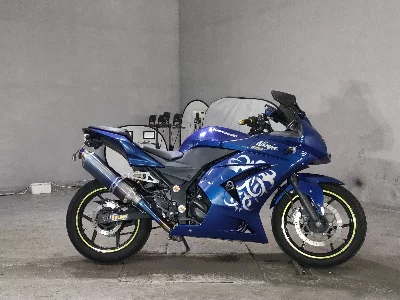 Kawasaki NINJA250R