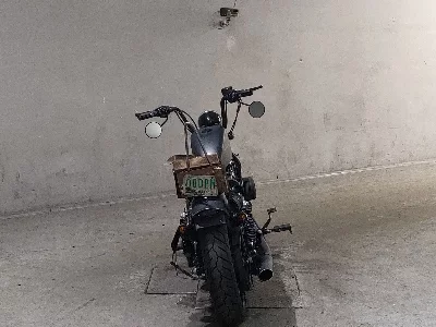 Harley-Davidson HARLEY XL1200X