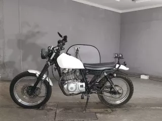 Suzuki GLASS TRACKER BIG BOY