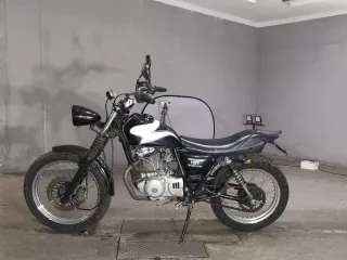 Suzuki GLASS TRACKER BIG BOY