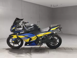Kawasaki NINJA250R