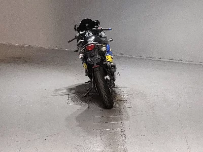 Kawasaki NINJA250R