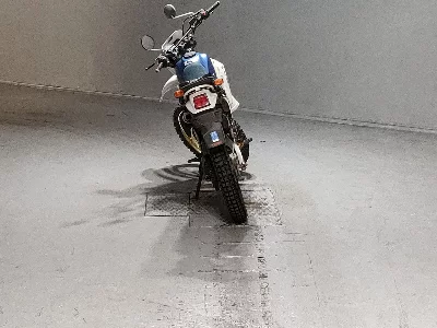 Yamaha DT200R