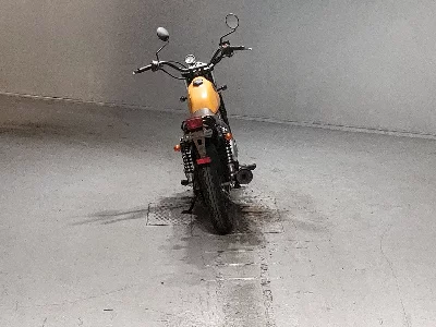 Suzuki GLASS TRACKER BIG BOY