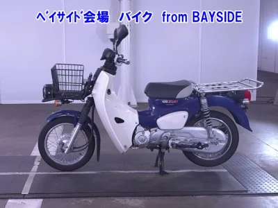 Other C50-3