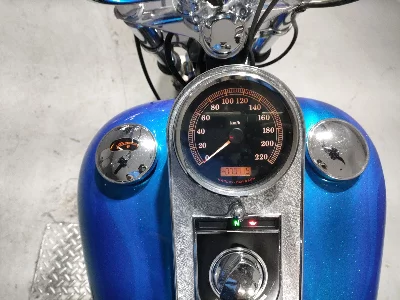 Harley-Davidson HARLEY FXST1580