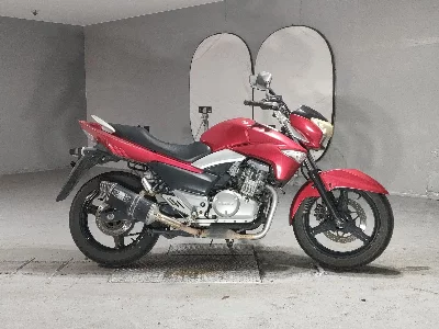 Suzuki GSR250