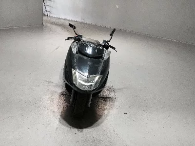 Yamaha MAXAM250