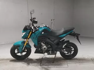 Kawasaki Z125 PRO